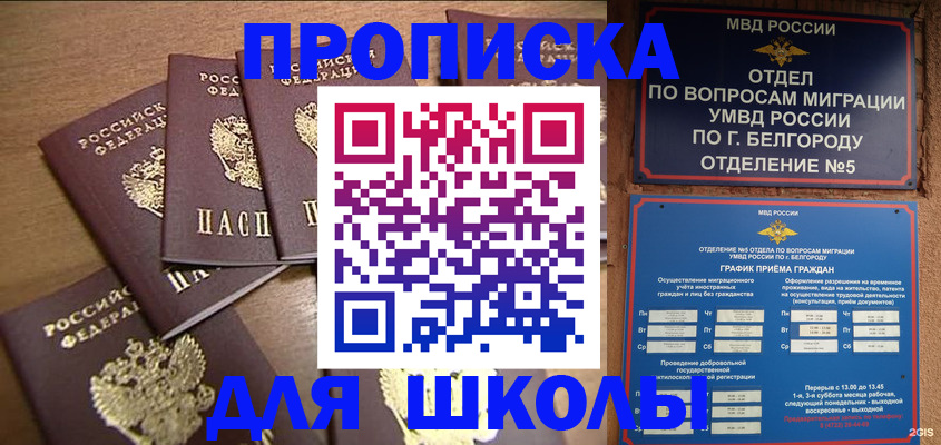 прописка гарантия в Мончегорске
